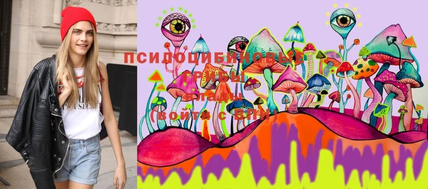 стаф Балабаново