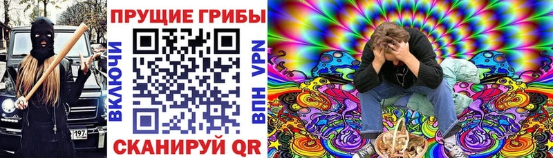 Псилоцибиновые грибы мицелий Новохопёрск